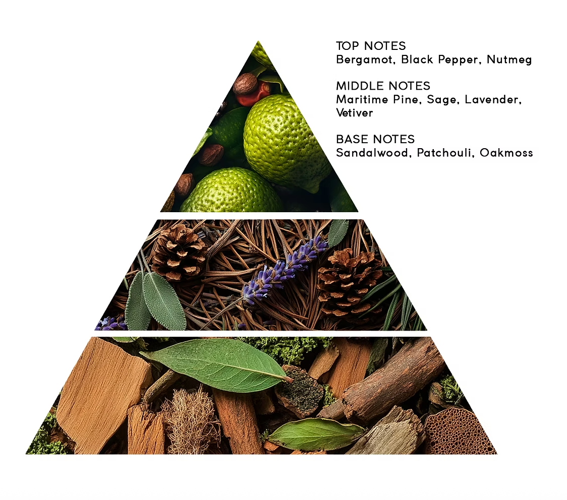 Pine & Sadelwood 50 ml - ZhosLaila