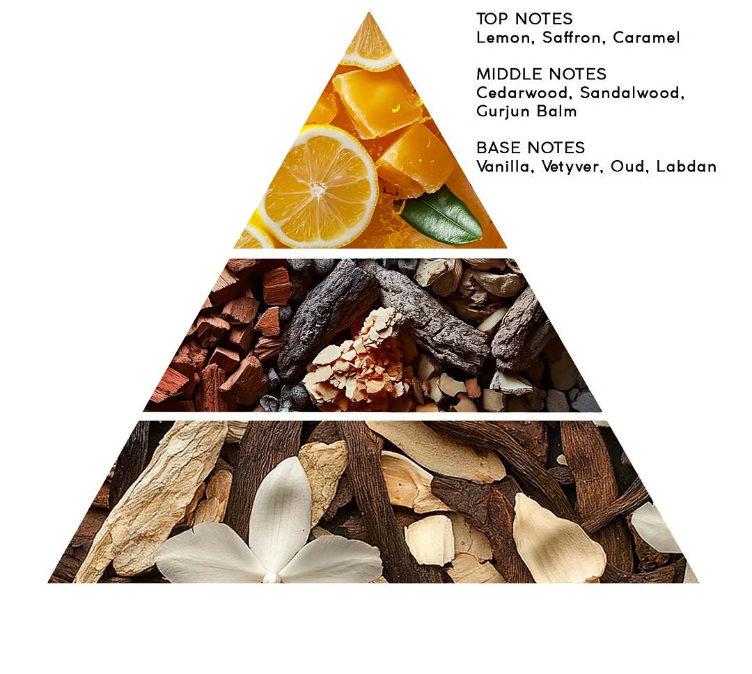 Olive Wood & Leather 50 ml - ZhosLaila