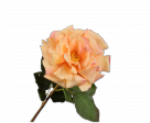 Silk-Ka Rose Silkeblomst Gul 69cm - ZhosLaila