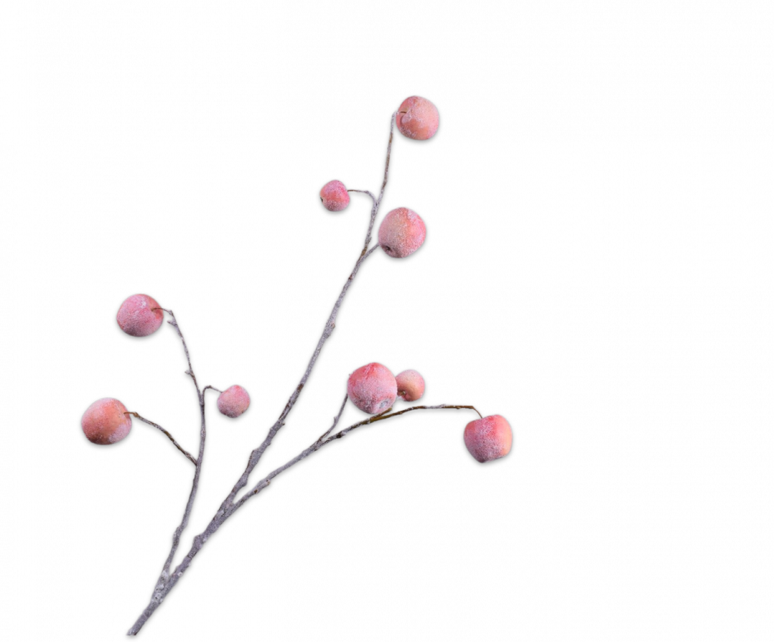 Silk-Ka Eplefrukt Silkeblomst Rosa 123cm - ZhosLaila