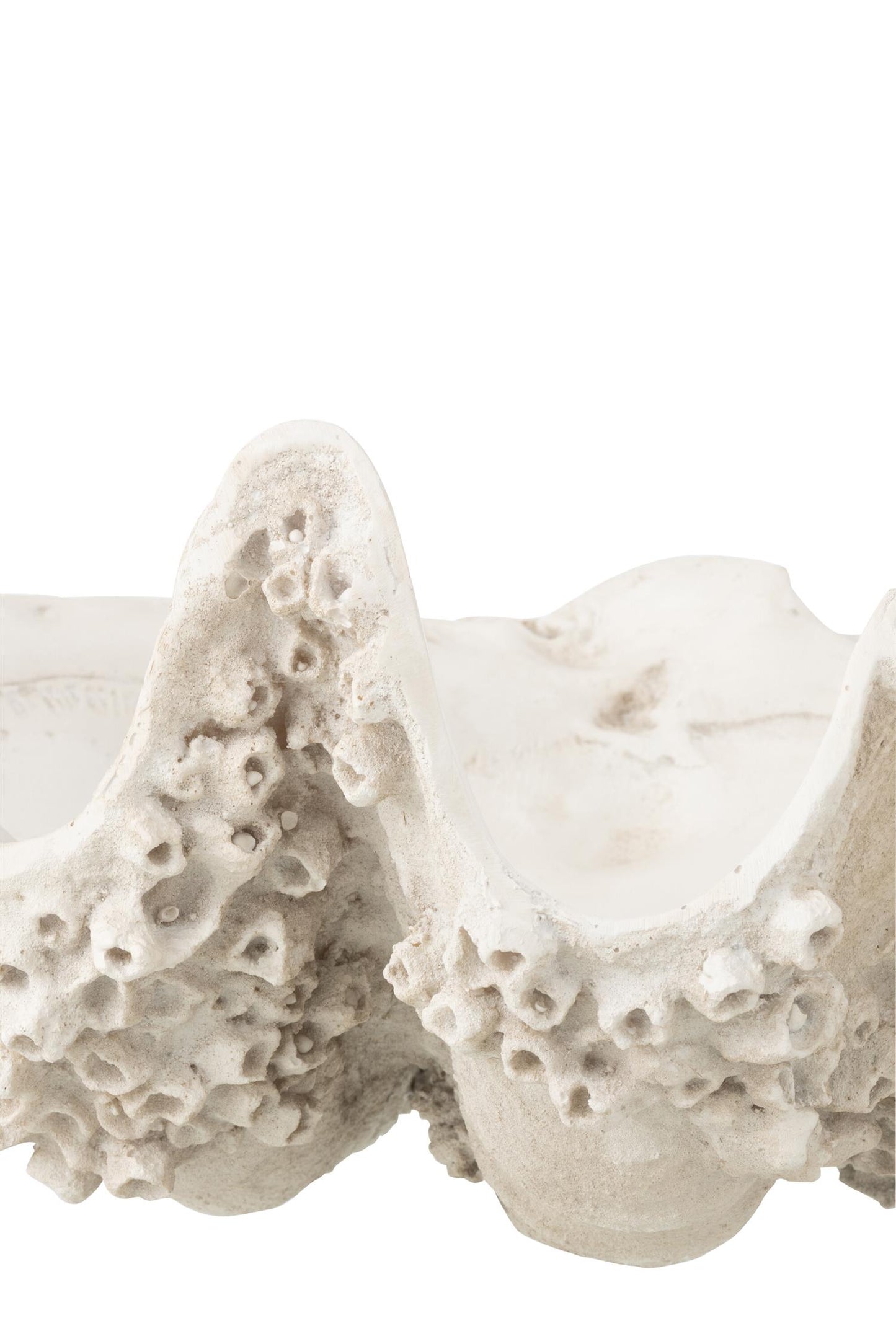 Decorative Bowl Seashell Resin Off-White Small