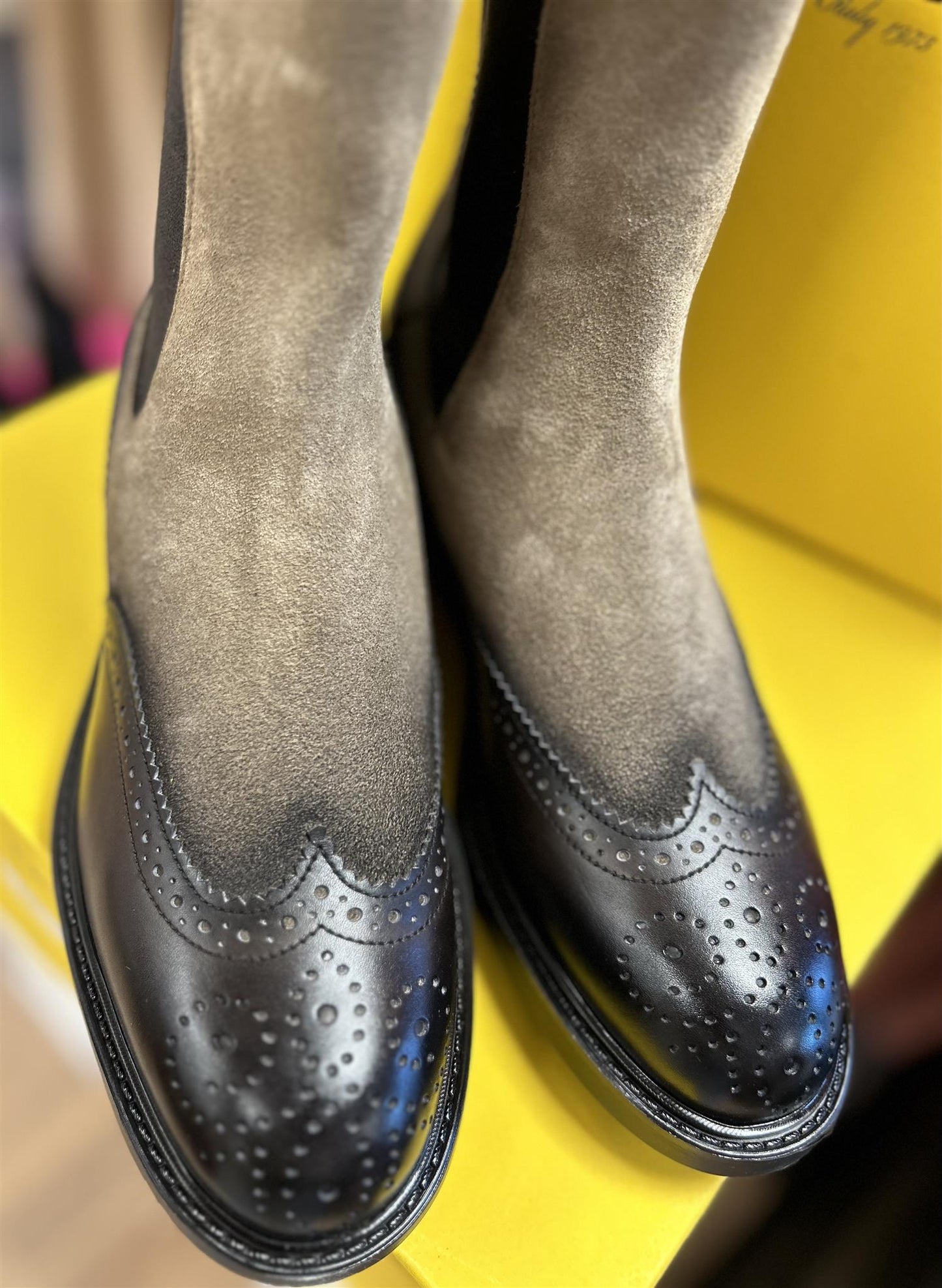 Rondini mørk - ZhosLaila