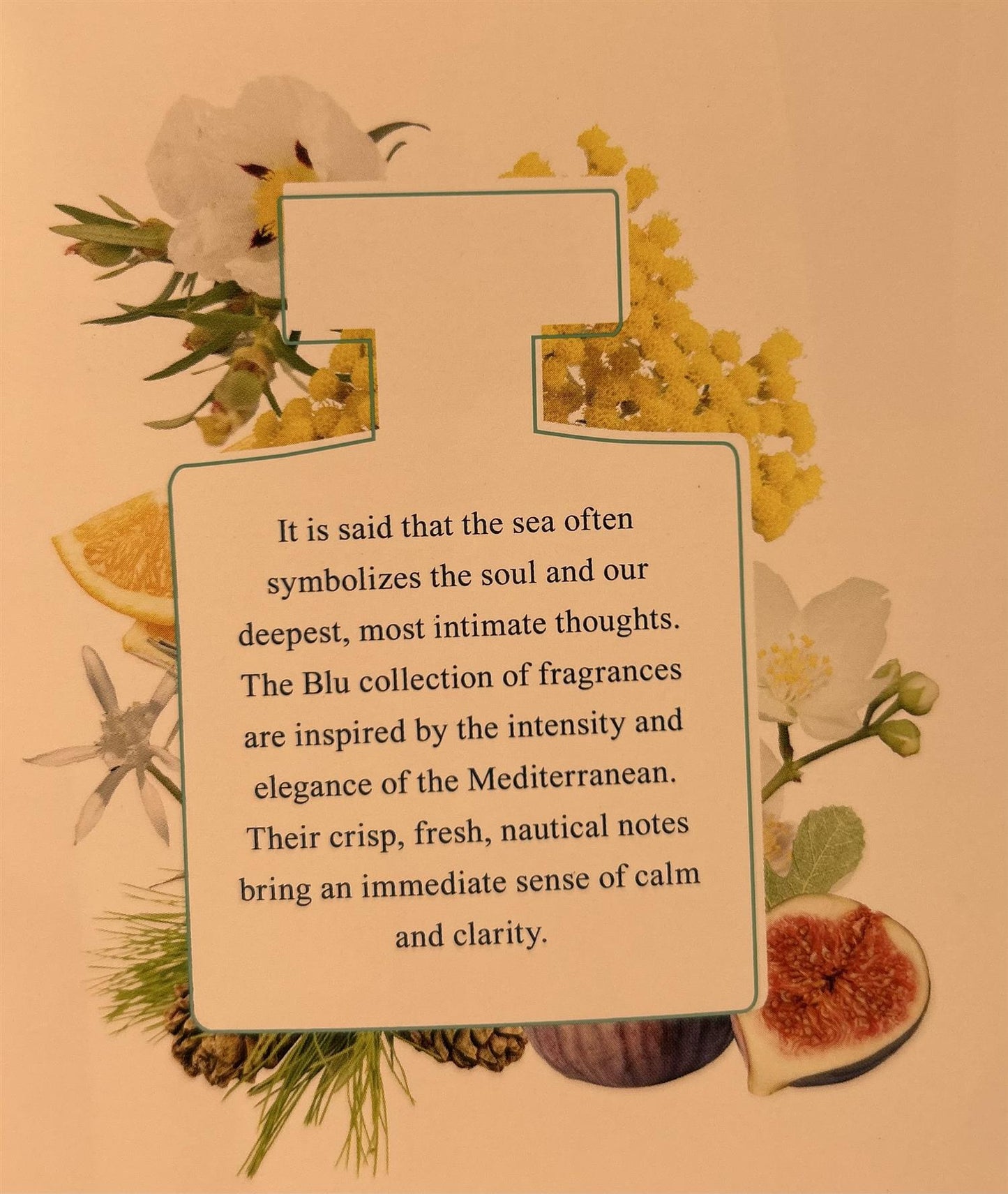 Acqua dell Elba Eau de Parfum Blu-duft for kvinner 50 ml - ZhosLaila