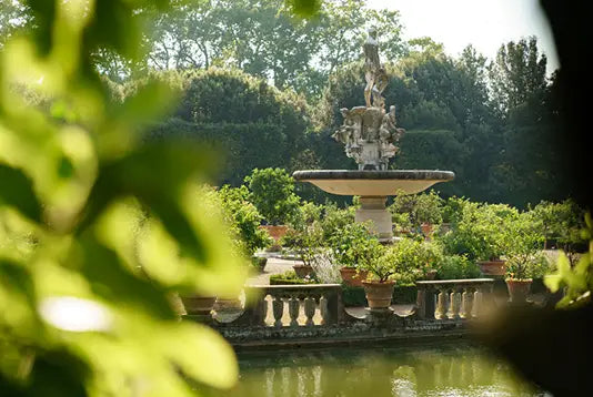 Dr. Vranjes Firenze Giardino de Boboli 250ml m/pinner - ZhosLaila