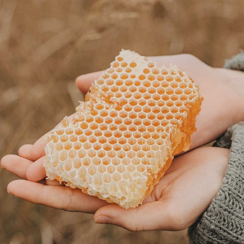 Regenerating Honey skrubb 500 ml