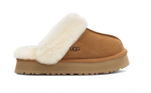 Ugg Disquette