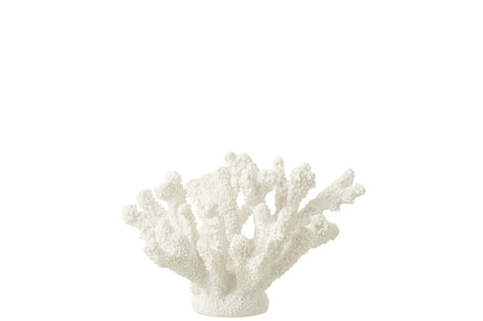 Seashell Polyresin White