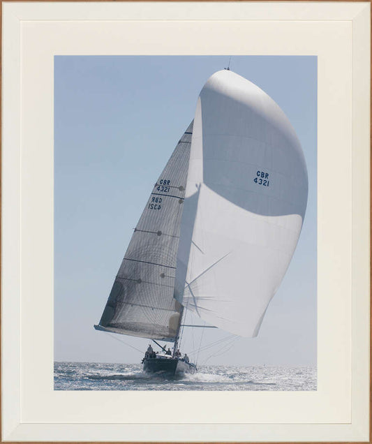 Regatta - Full Steam