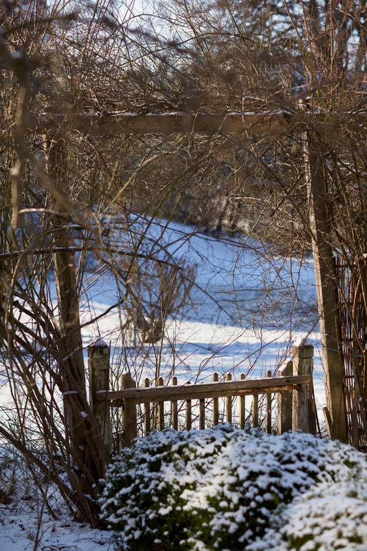 Lexington Original håndkle rødt 40cm x 50cm Rødt