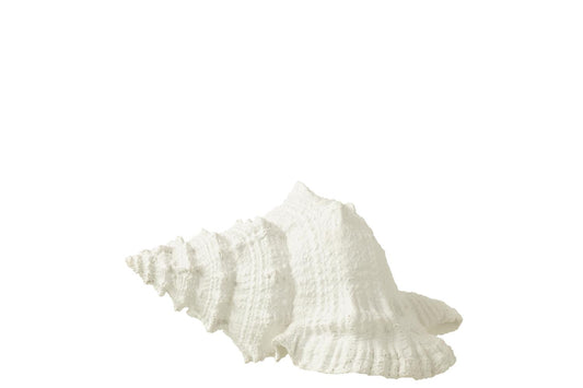 J-Line Skjell Hvit B:25cm
