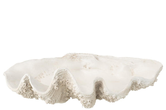 J-Line Dekorativ Skål av skjell Off-White L:68cm
