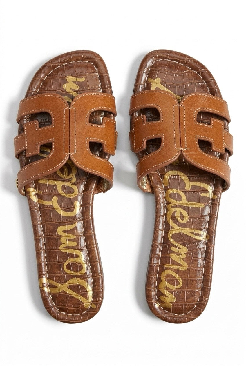 Bay Camel