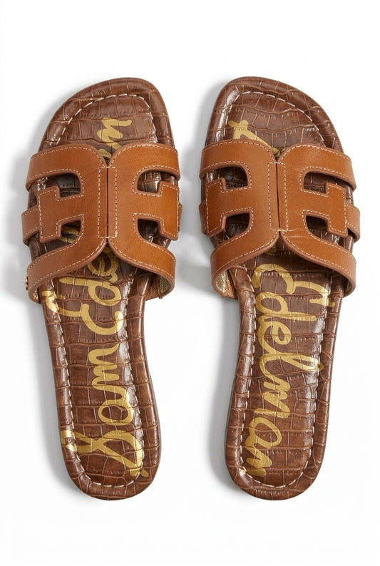 Bay Camel