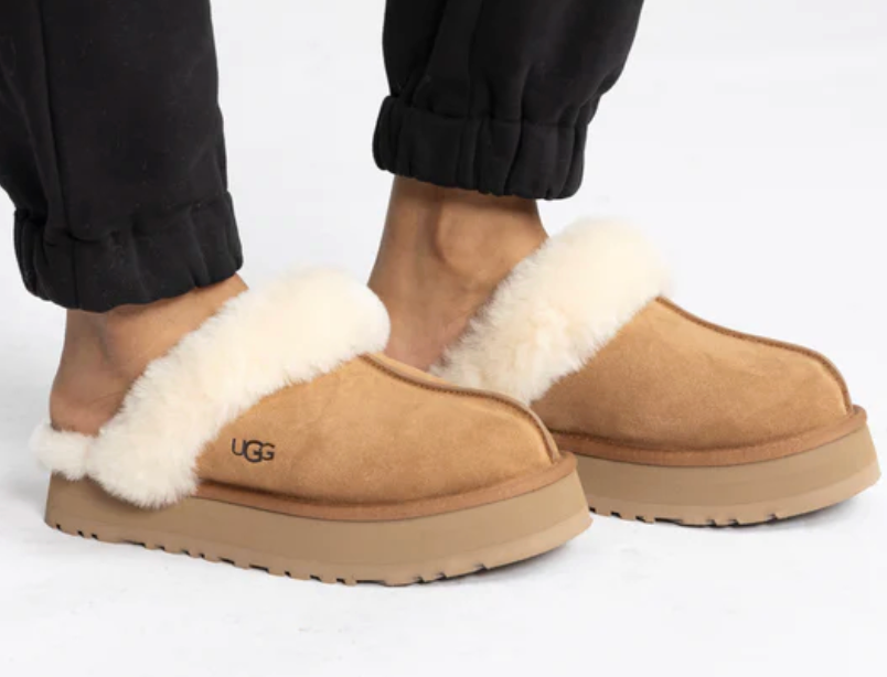 Ugg Disquette