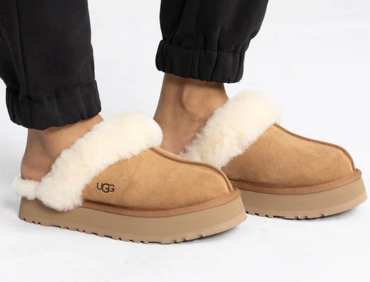 Ugg Disquette