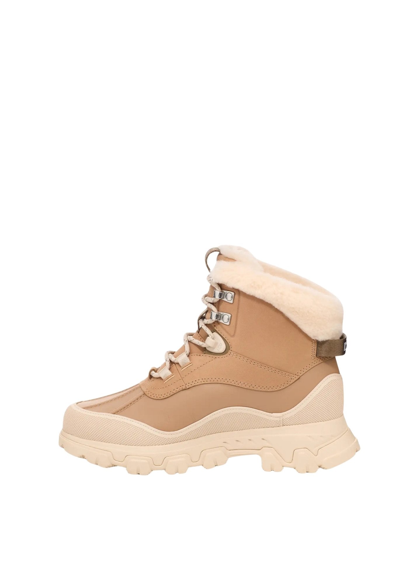 Adirondack Meridian Hiker - ZhosLaila