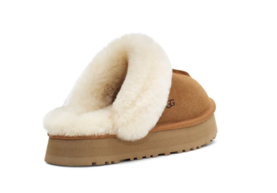 Ugg Disquette