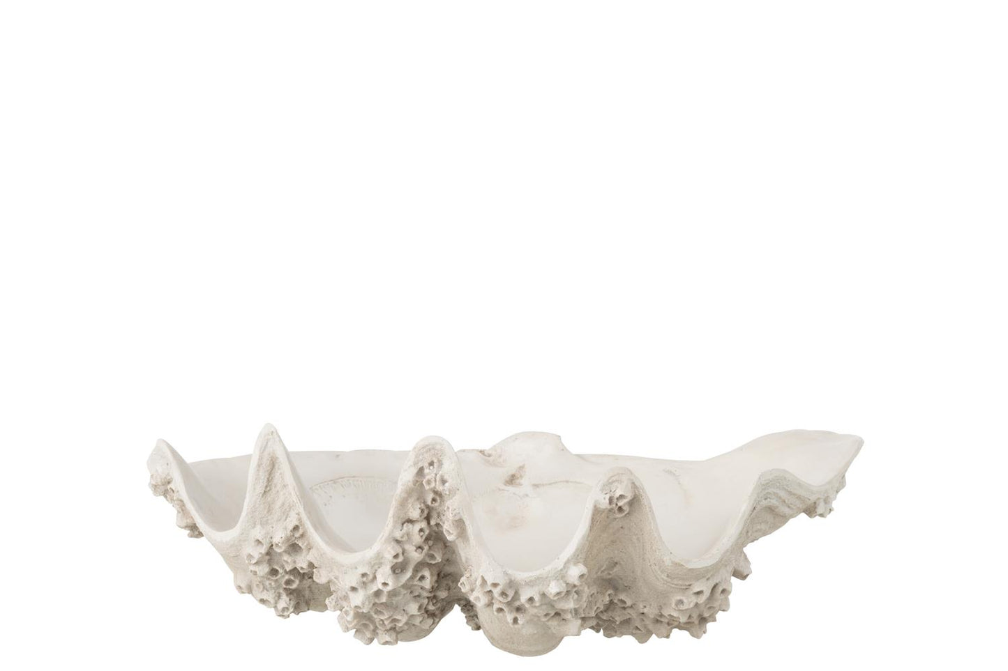 Decorative Bowl Seashell Resin Off-White Small