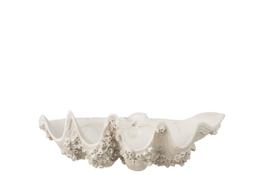 Decorative Bowl Seashell Resin Off-White Small